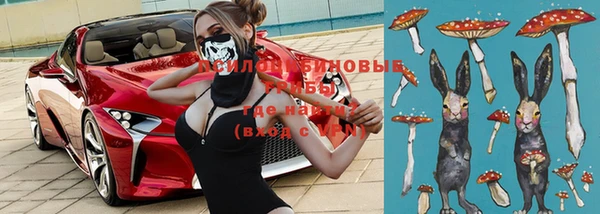 твердый Белокуриха