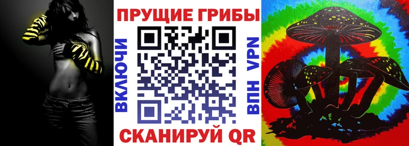МЕГА ссылки Кстово Галлюциногенные грибы прущие грибы сколько стоит