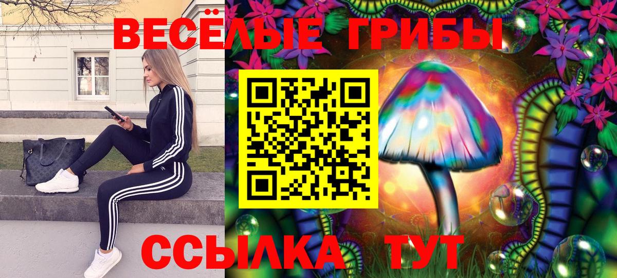 Кстово  Псилоцибиновые грибы мицелий  Вход с VPN 