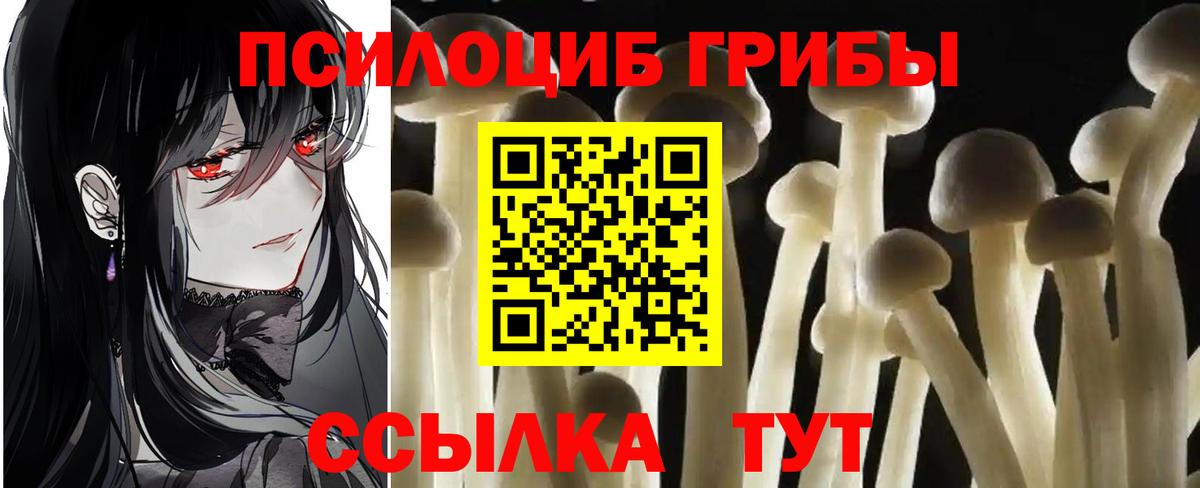 Галлюциногенные грибы GOLDEN TEACHER Кстово